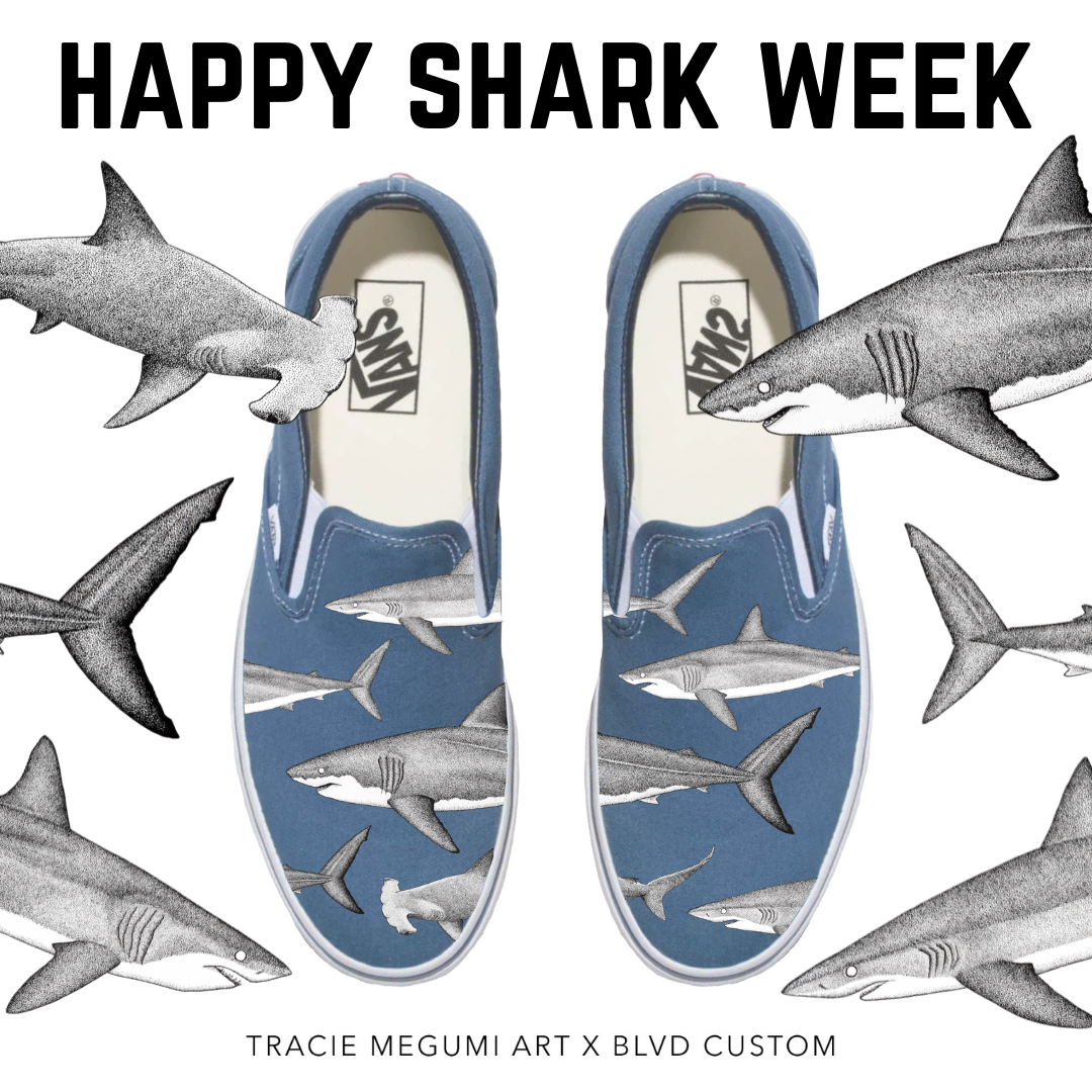 Happy Shark Week Sharkie Sneakers and Resources BlvdCustom