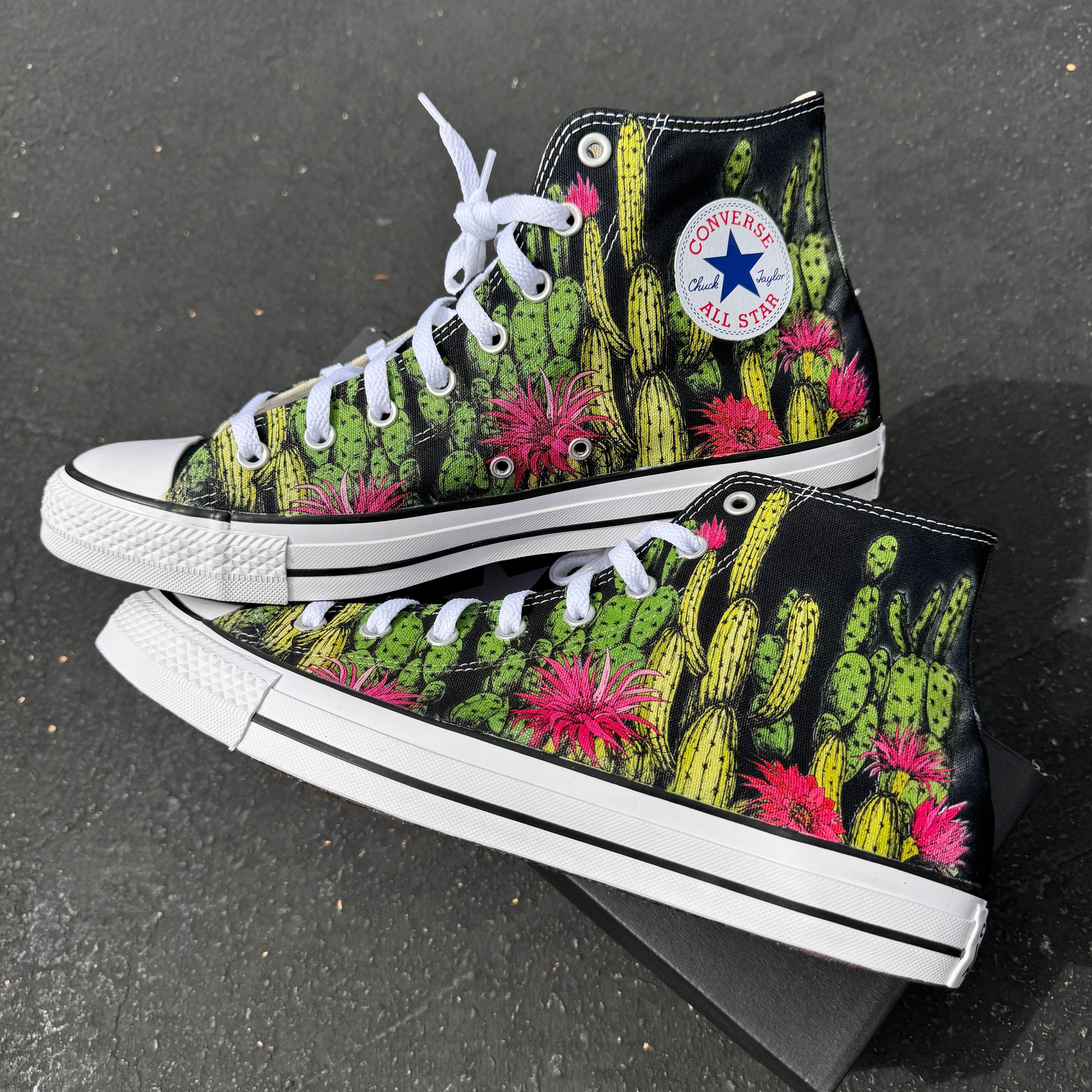 converse succulent women's Cactus Garden