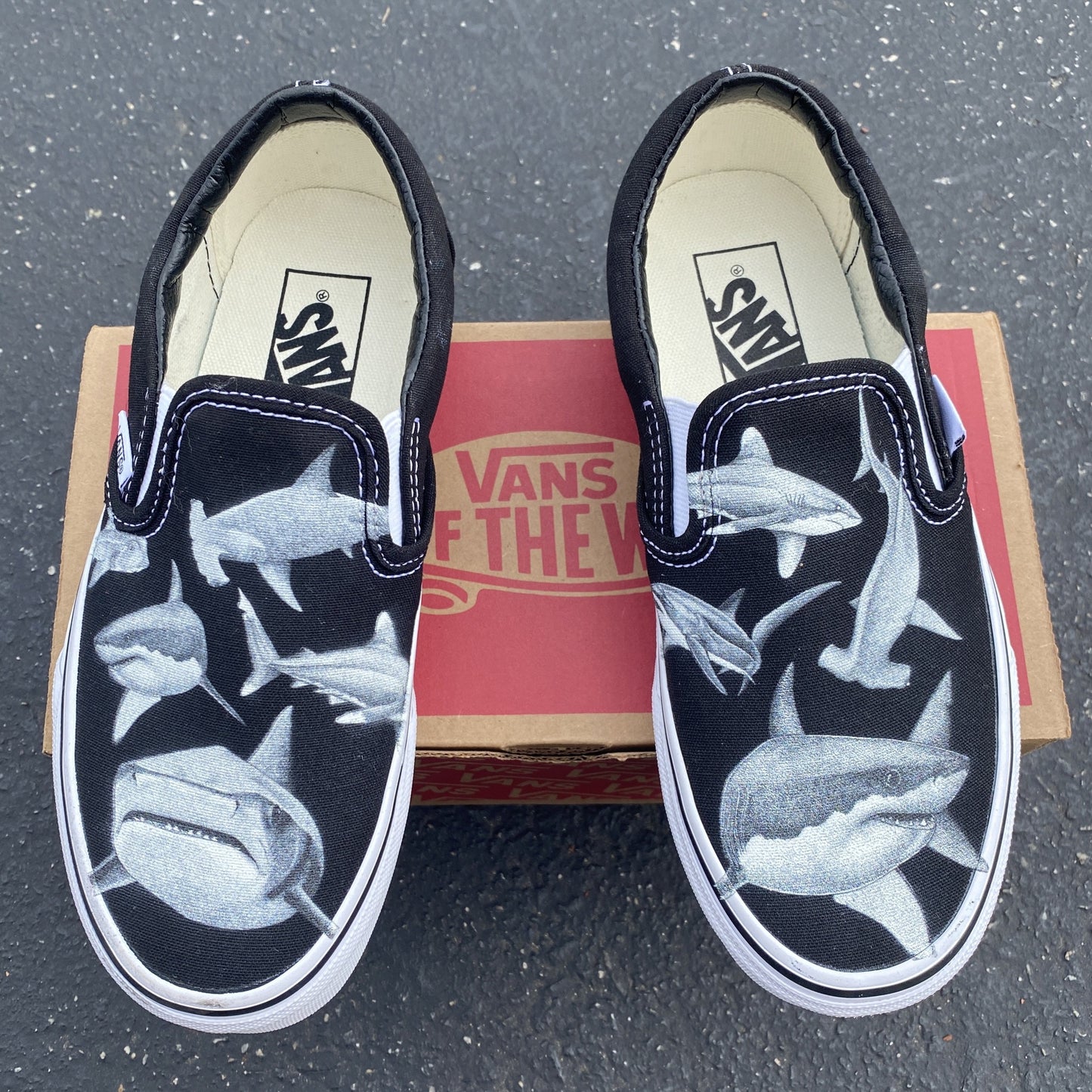 Feeding Frenzy Slip On Vans - Available in Black and White