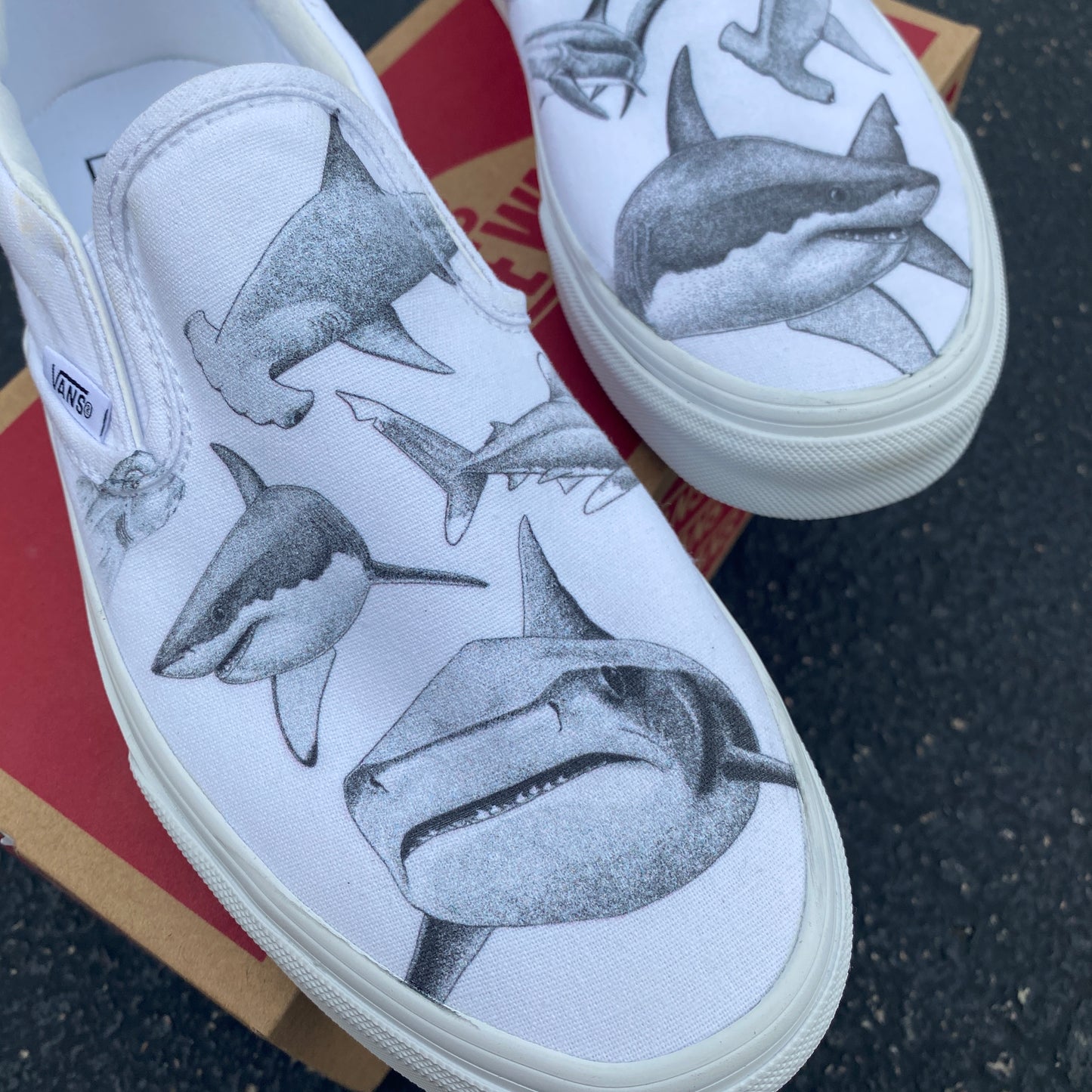 Feeding Frenzy Slip On Vans - Available in Black and White