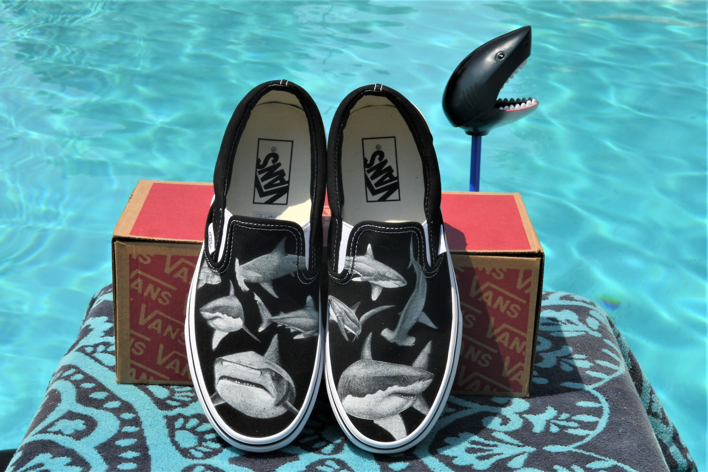Feeding Frenzy Slip On Vans - Available in Black and White