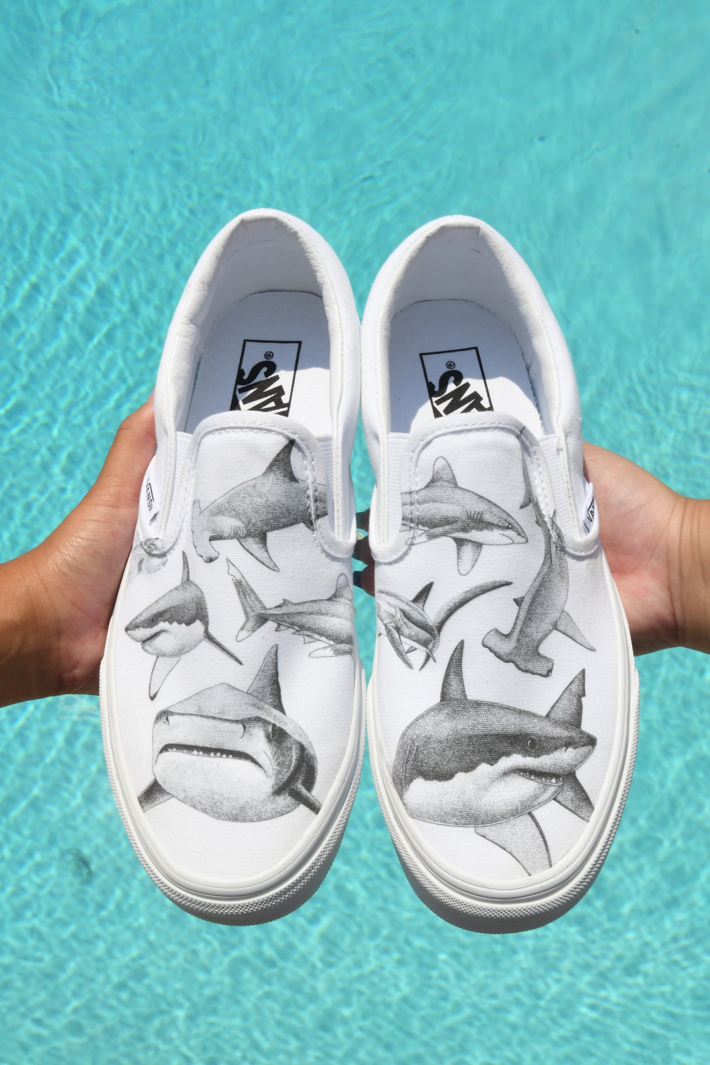 Feeding Frenzy Slip On Vans - Available in Black and White
