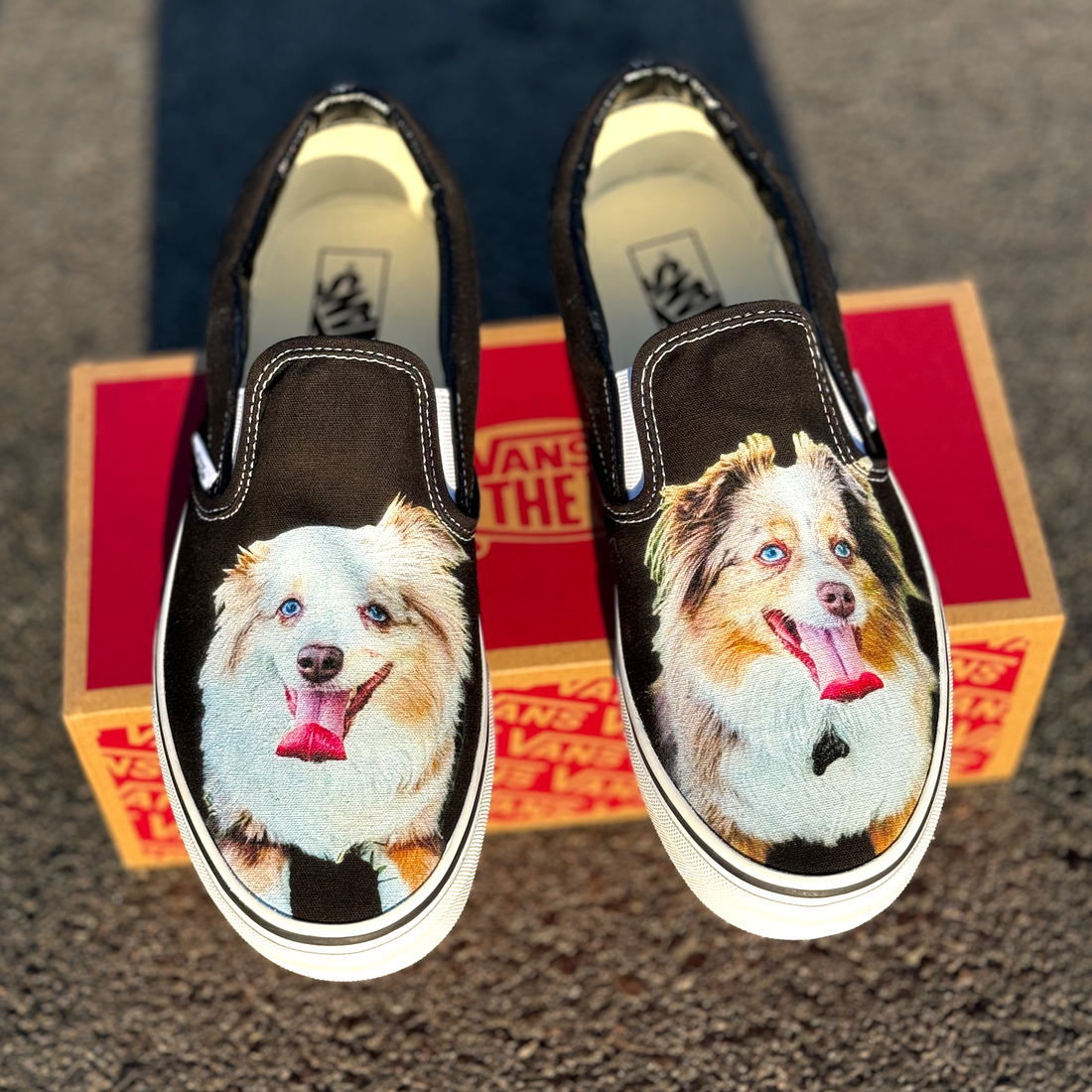 Vans off top the wall dog