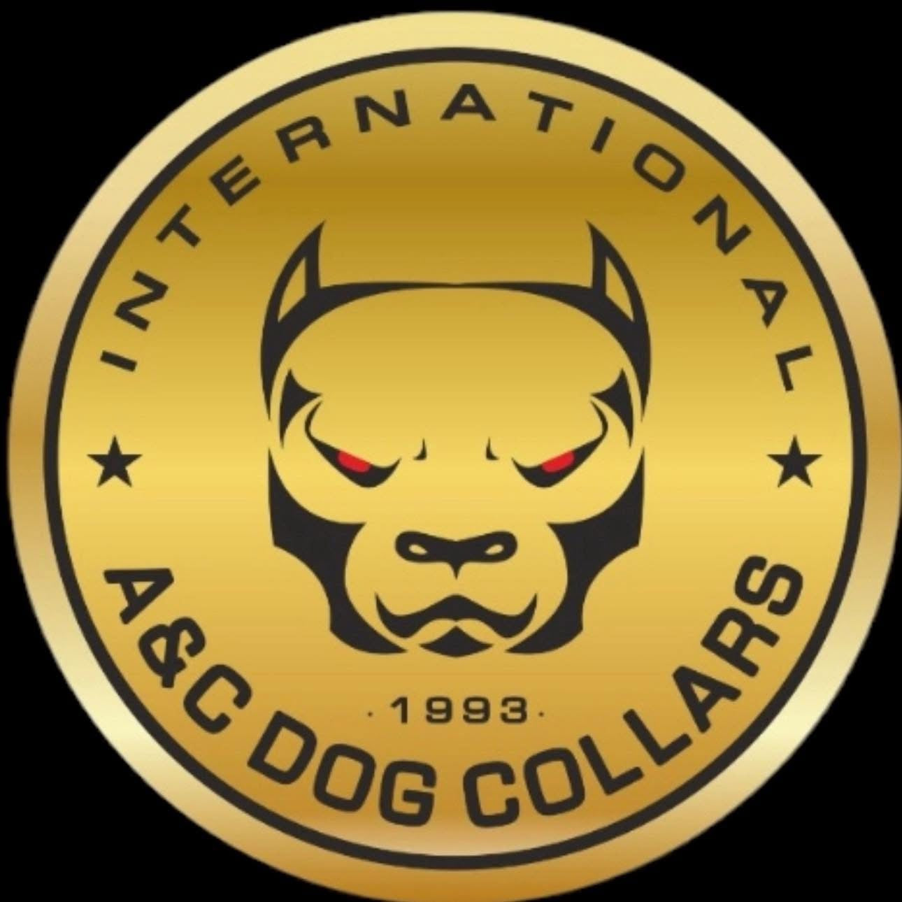 Men's size 11 Chuck 70 Custom Order