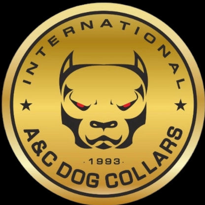 Men's size 11 Chuck 70 Custom Order