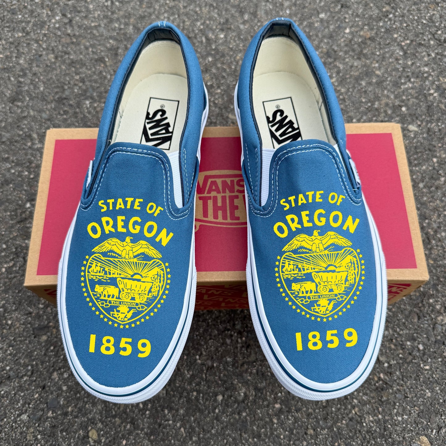 state of Oregon flag shoes