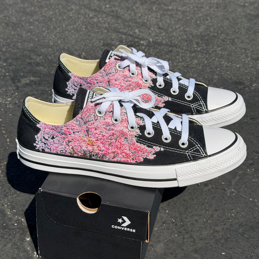 cherry blossom tree on converse chuck Taylor low top shoes