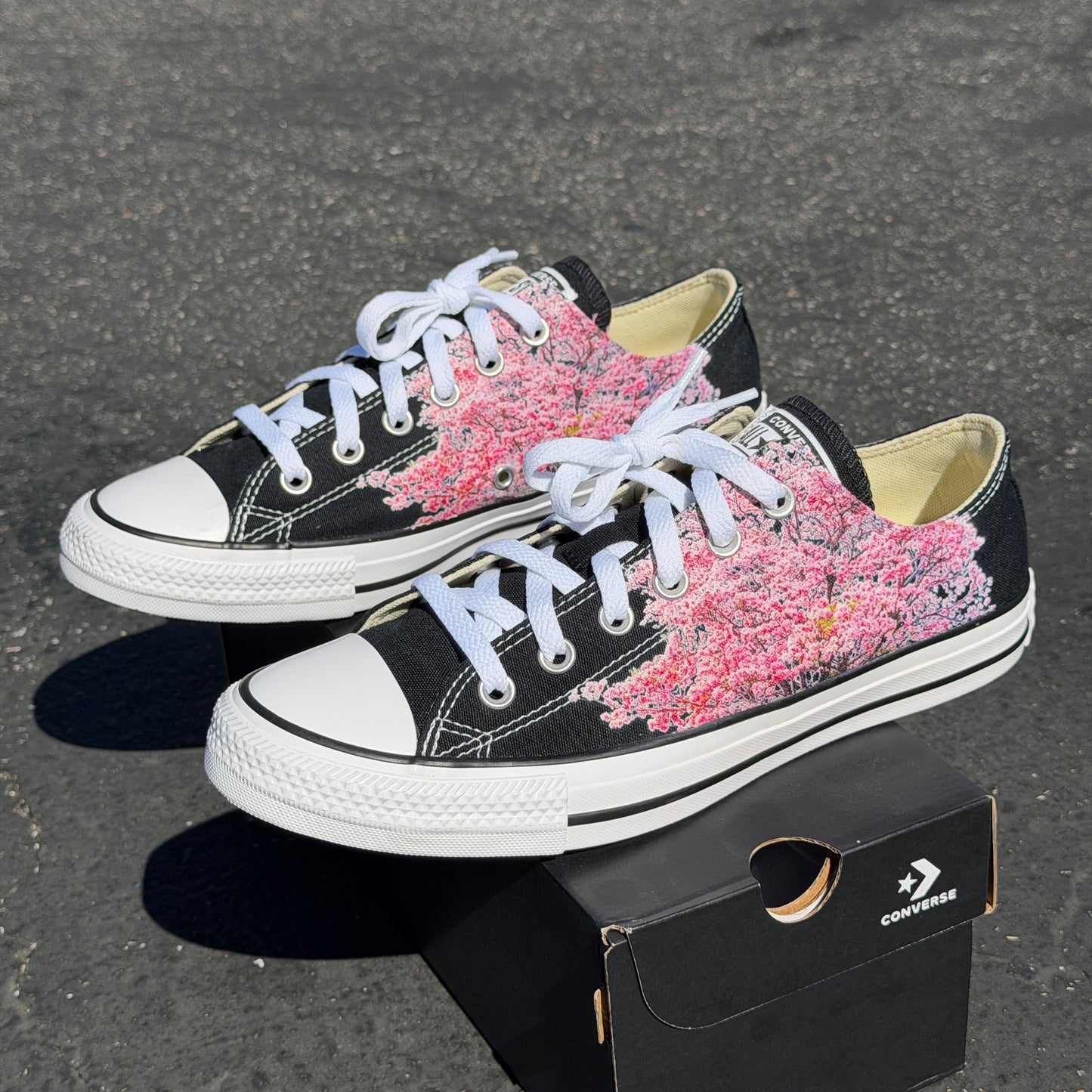 cherry blossom tree on converse chuck Taylor low top shoes