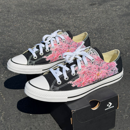 cherry blossom tree on converse chuck Taylor low top shoes