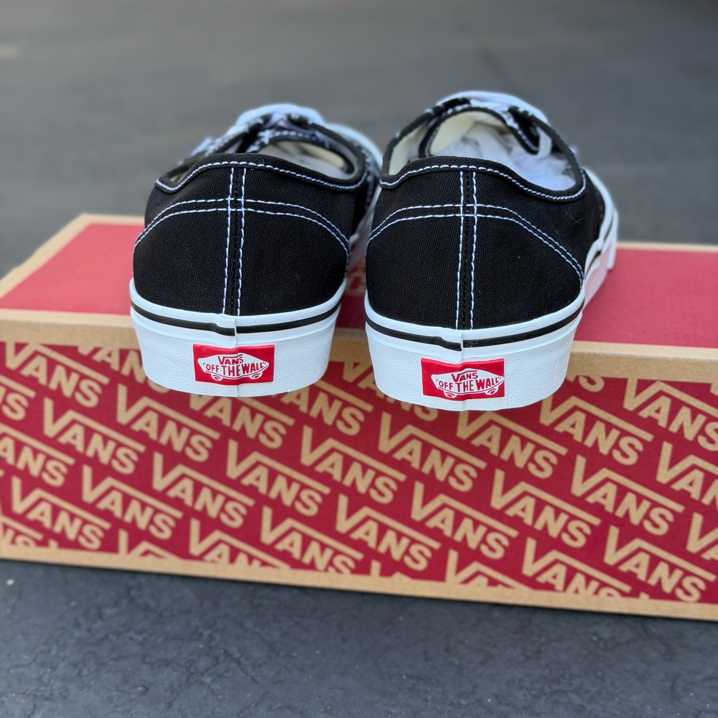 Spider web Black Vans Authentic Shoes Customized
