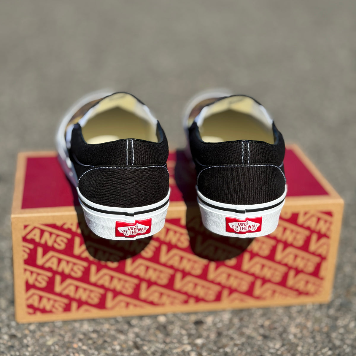 Death Valley Custom Slip on Vans