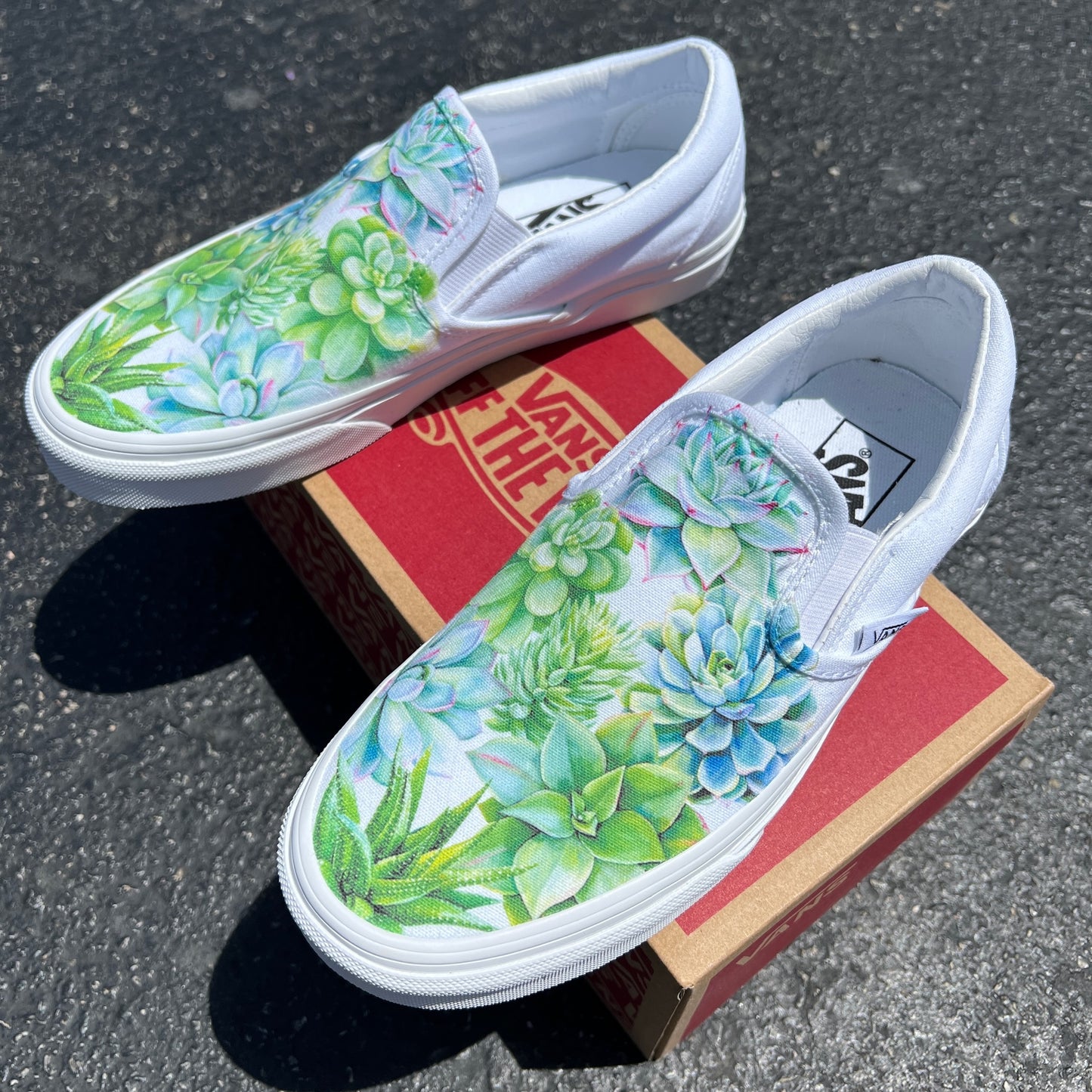 Cactus Succulent Pant Mom Gift Custom Sneakers Slip On Vans Shoes